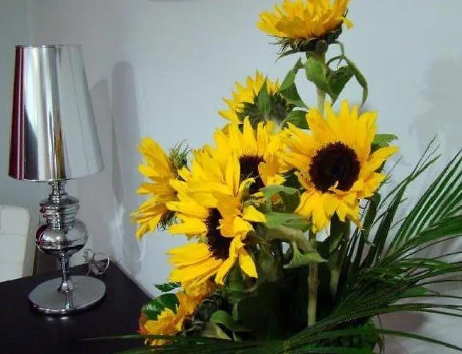 Hotel Yit Alcover 2*